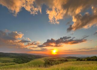 Belajar Diam Bersama Yesus