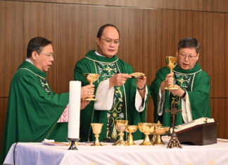 Kardinal David: Sebelum Mewartakan Injil, Gereja Harus Lebih Dulu “Menyiapkan Tanah”