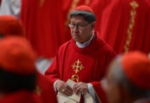 Kardinal Tagle Pimpin Kolegium Kardinal, Putra Asia Pertama di Kursi Dekan